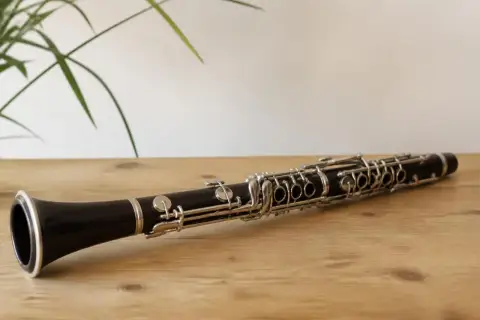 Holzblasinstrumente